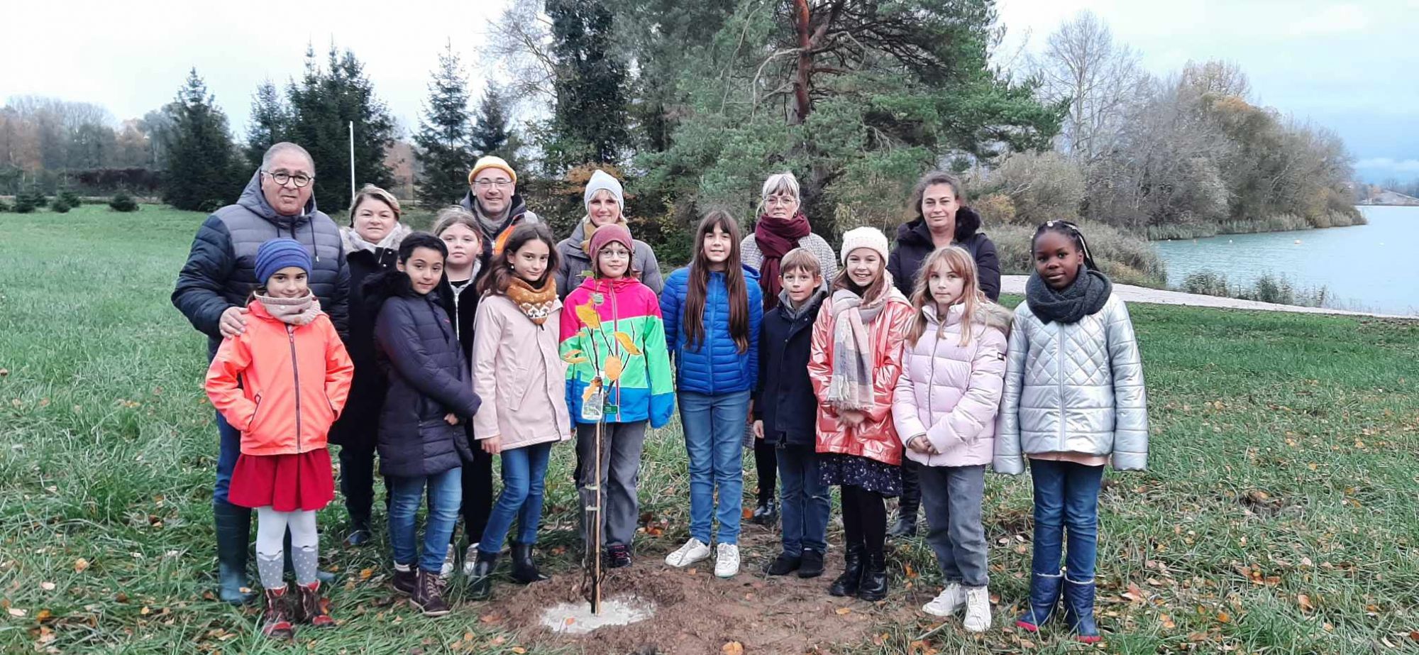 une naissance, un arbre