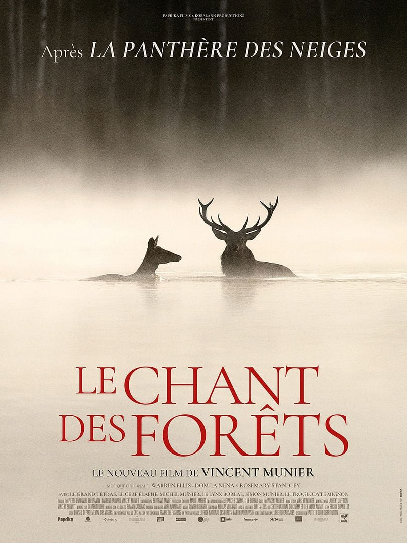 Le chant des for&ecirc;ts