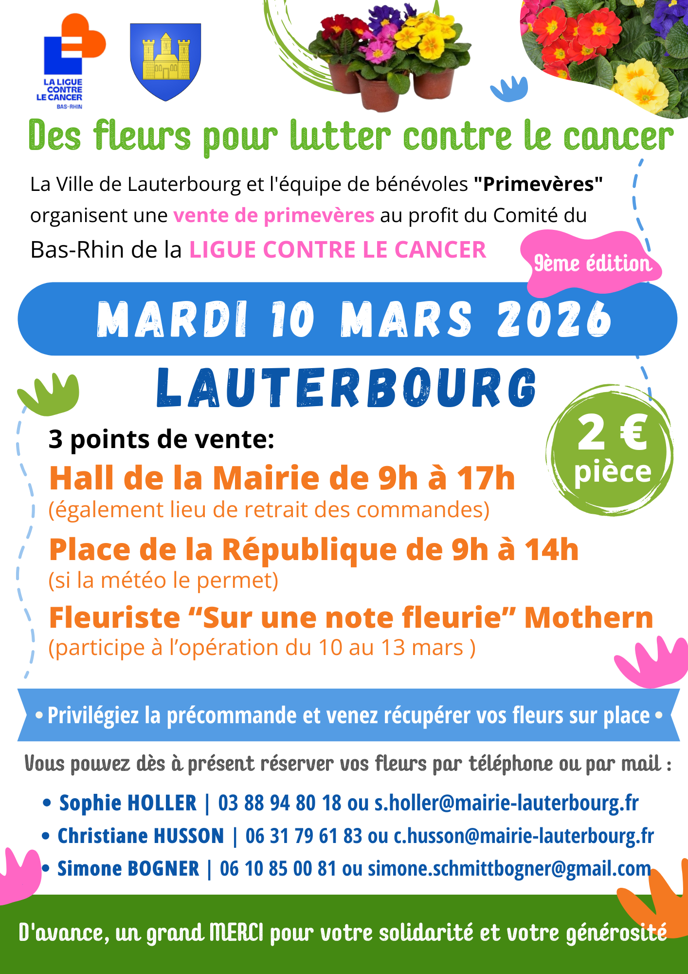 primevères primevères